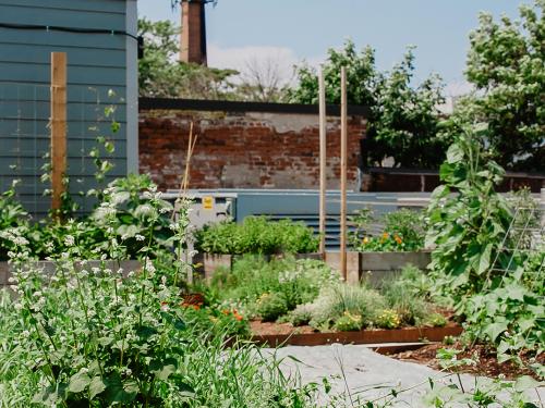 Vegetable garden